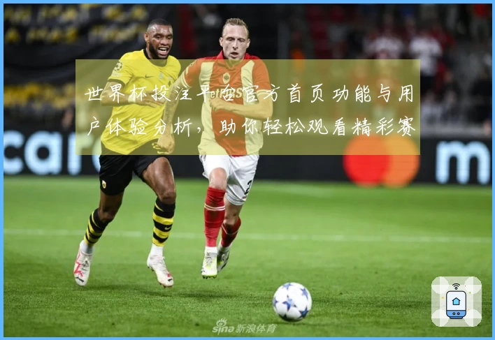 世界杯投注平台官方首页功能与用户体验分析，助你轻松观看精彩赛事