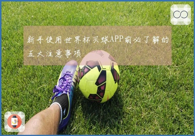 新手使用世界杯买球APP前必了解的五大注意事项