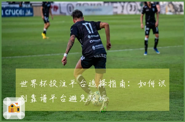世界杯投注平台选择指南：如何识别靠谱平台避免踩坑