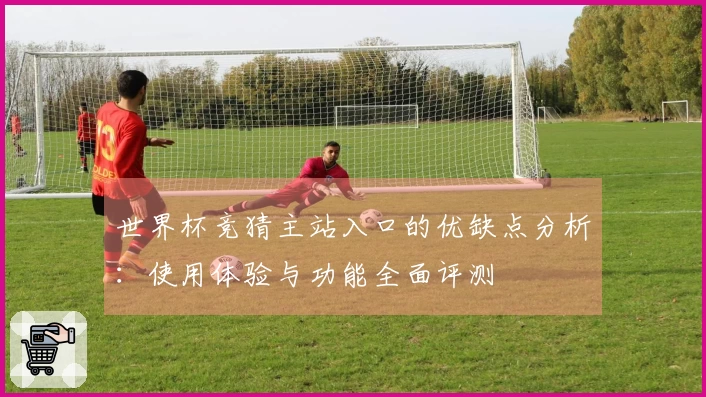 世界杯竞猜主站入口的优缺点分析：使用体验与功能全面评测