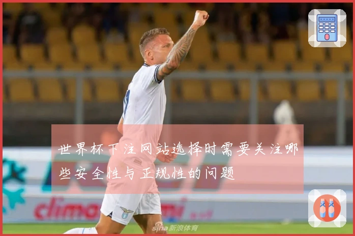 世界杯下注网站选择时需要关注哪些安全性与正规性的问题