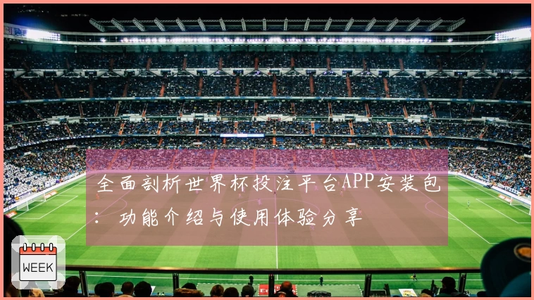 全面剖析世界杯投注平台APP安装包：功能介绍与使用体验分享