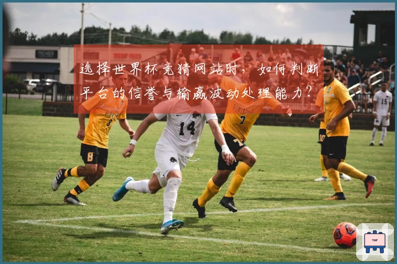 选择世界杯竞猜网站时，如何判断平台的信誉与输赢波动处理能力？