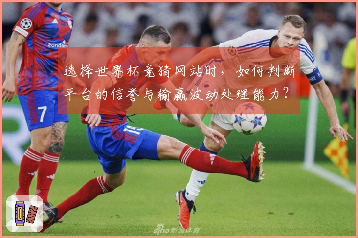 选择世界杯竞猜网站时，如何判断平台的信誉与输赢波动处理能力？