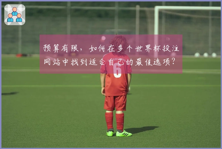 预算有限，如何在多个世界杯投注网站中找到适合自己的最佳选项？