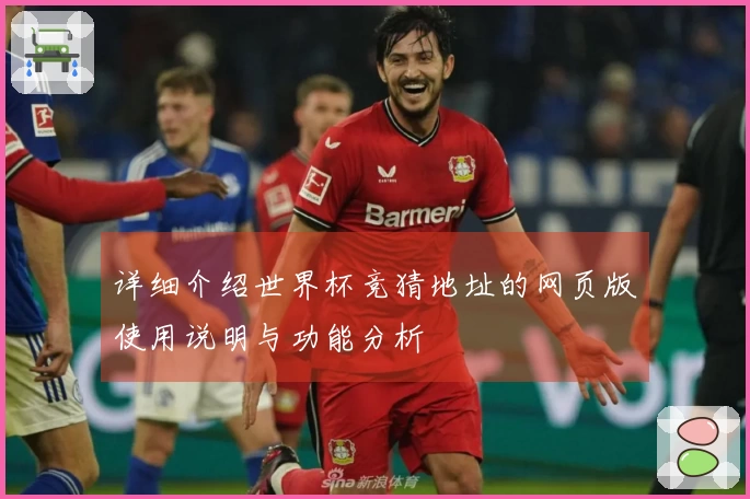 详细介绍世界杯竞猜地址的网页版使用说明与功能分析