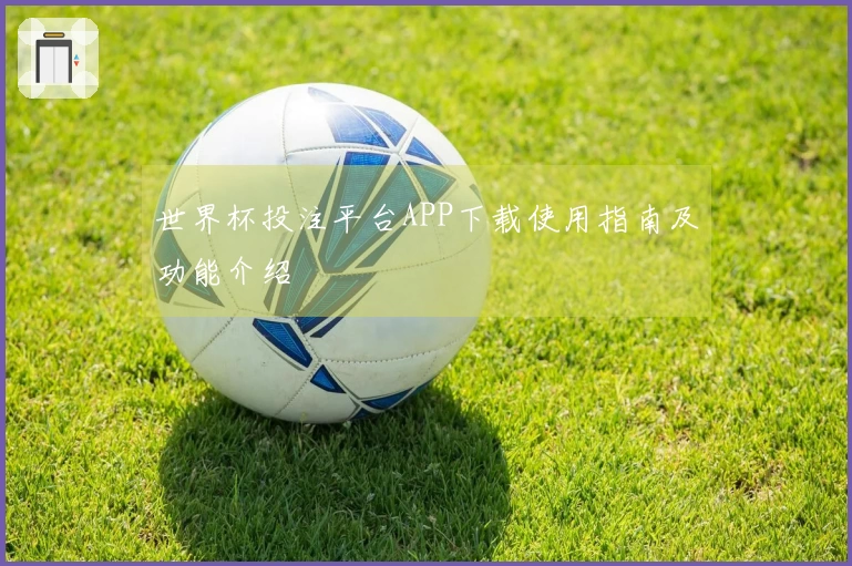 世界杯投注平台APP下载使用指南及功能介绍