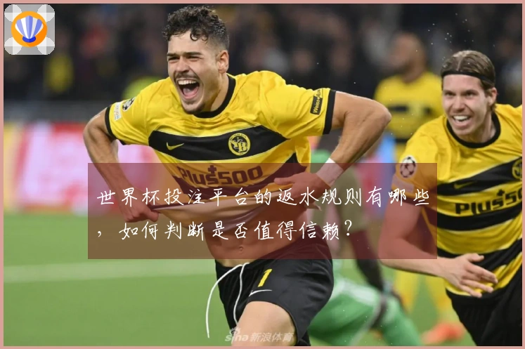 世界杯投注平台的返水规则有哪些，如何判断是否值得信赖？