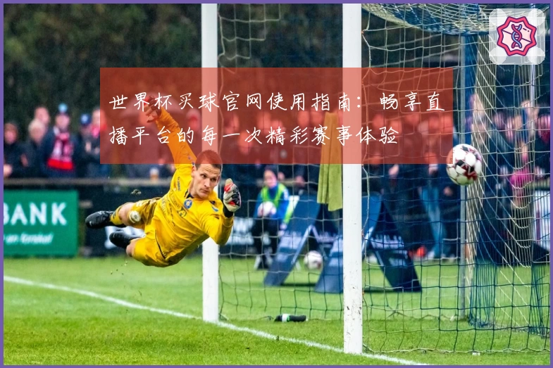 世界杯买球官网使用指南：畅享直播平台的每一次精彩赛事体验