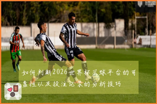 如何判断2026世界杯买球平台的可靠性以及投注记录的分析技巧