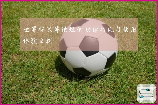 世界杯买球地址的功能对比与使用体验分析