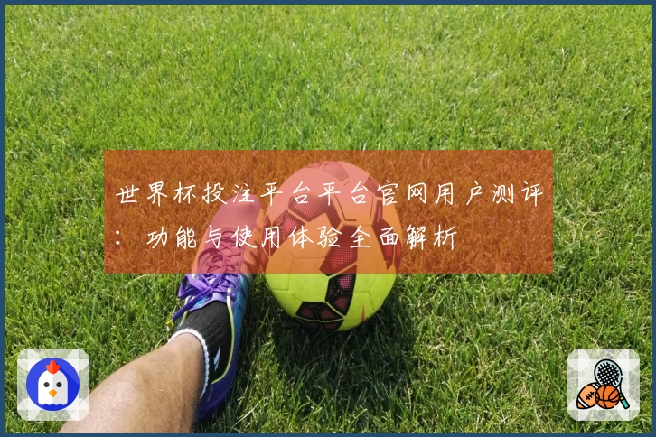 世界杯投注平台平台官网用户测评：功能与使用体验全面解析
