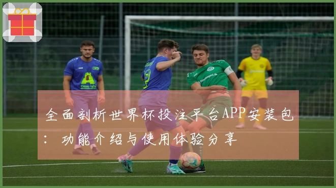 全面剖析世界杯投注平台APP安装包：功能介绍与使用体验分享