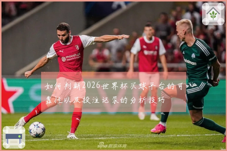 如何判断2026世界杯买球平台的可靠性以及投注记录的分析技巧