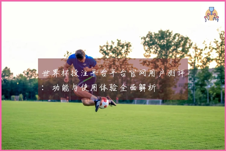 世界杯投注平台平台官网用户测评：功能与使用体验全面解析