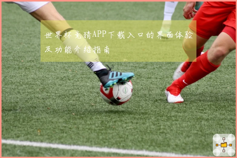 世界杯竞猜APP下载入口的界面体验及功能介绍指南